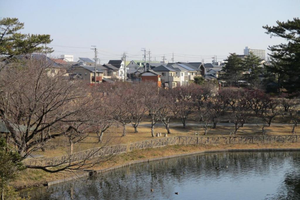 全景１