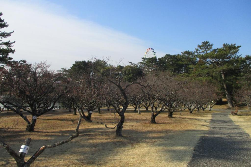 全景２