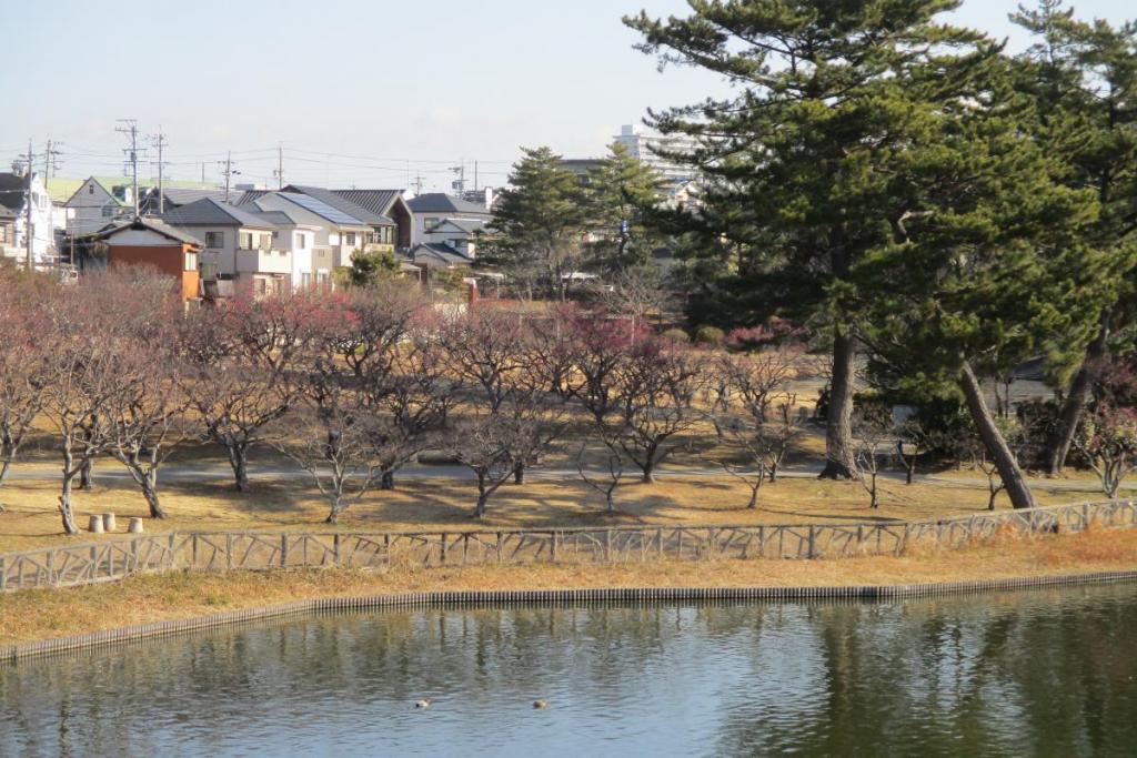 全景１