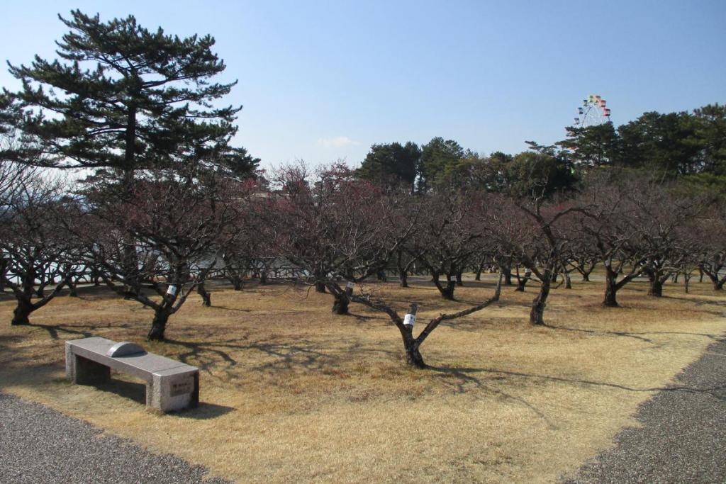 全景２