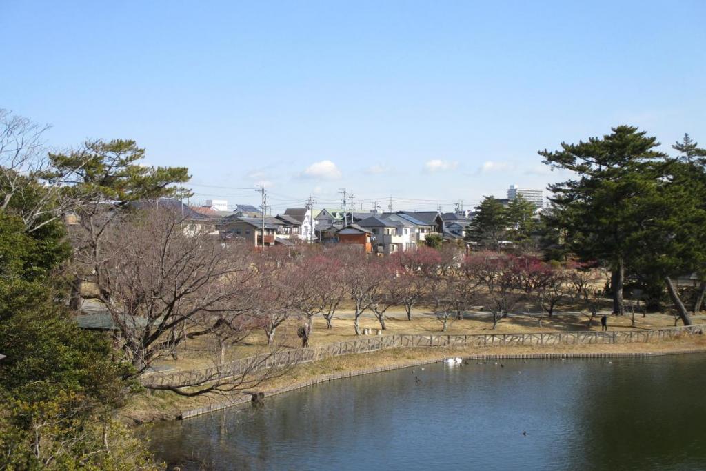 全景1