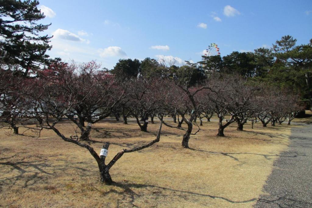 全景2