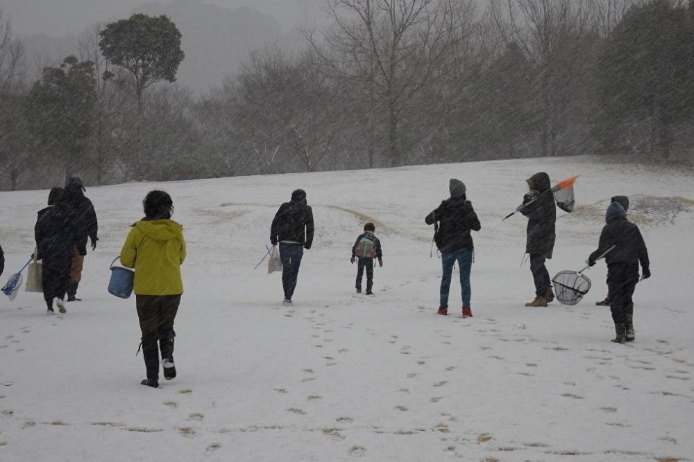 雪の中を森へ