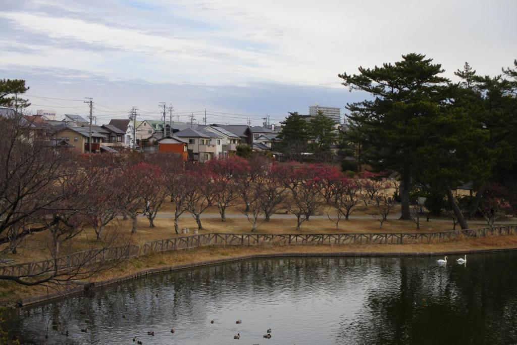 全景１
