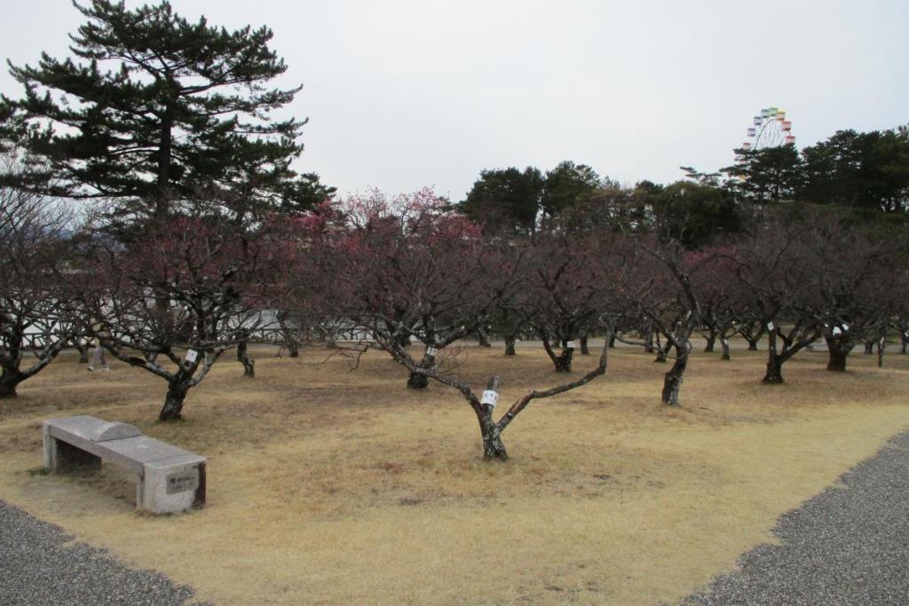 全景２