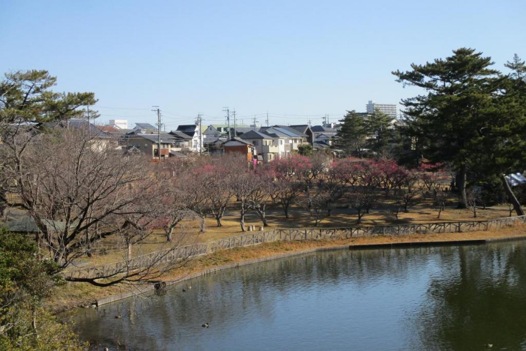 全景1