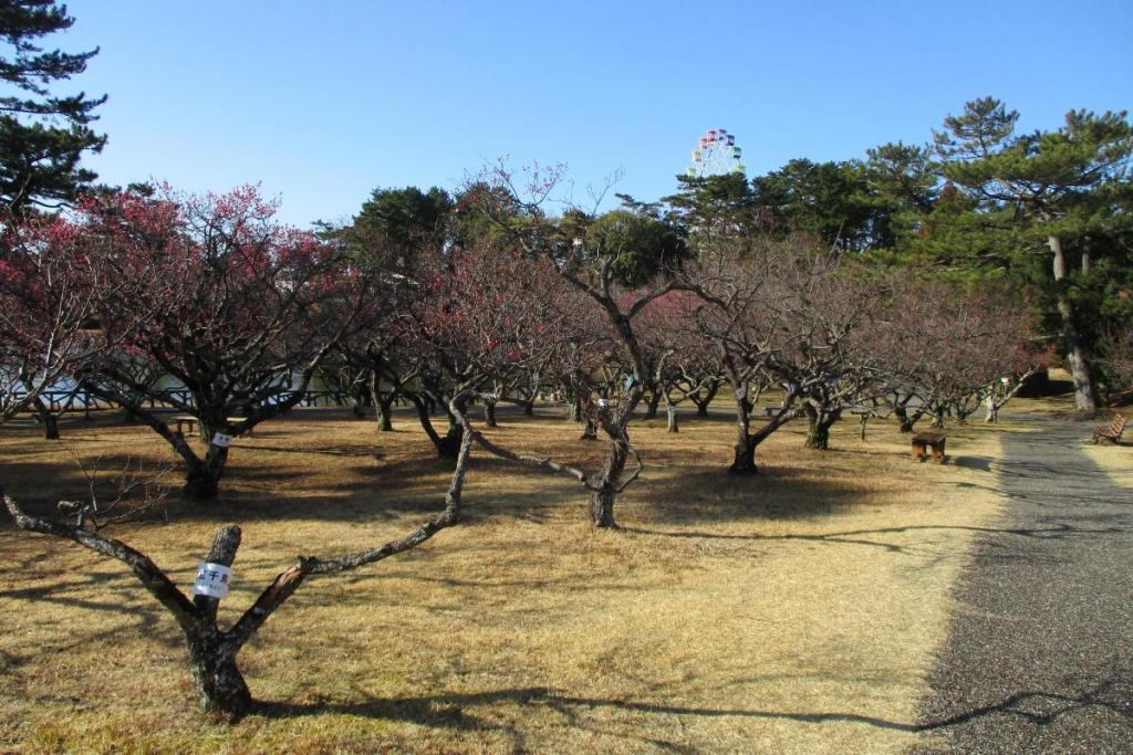 全景2