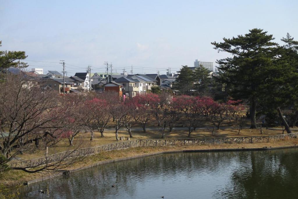 全景１