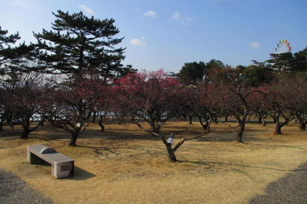 全景２