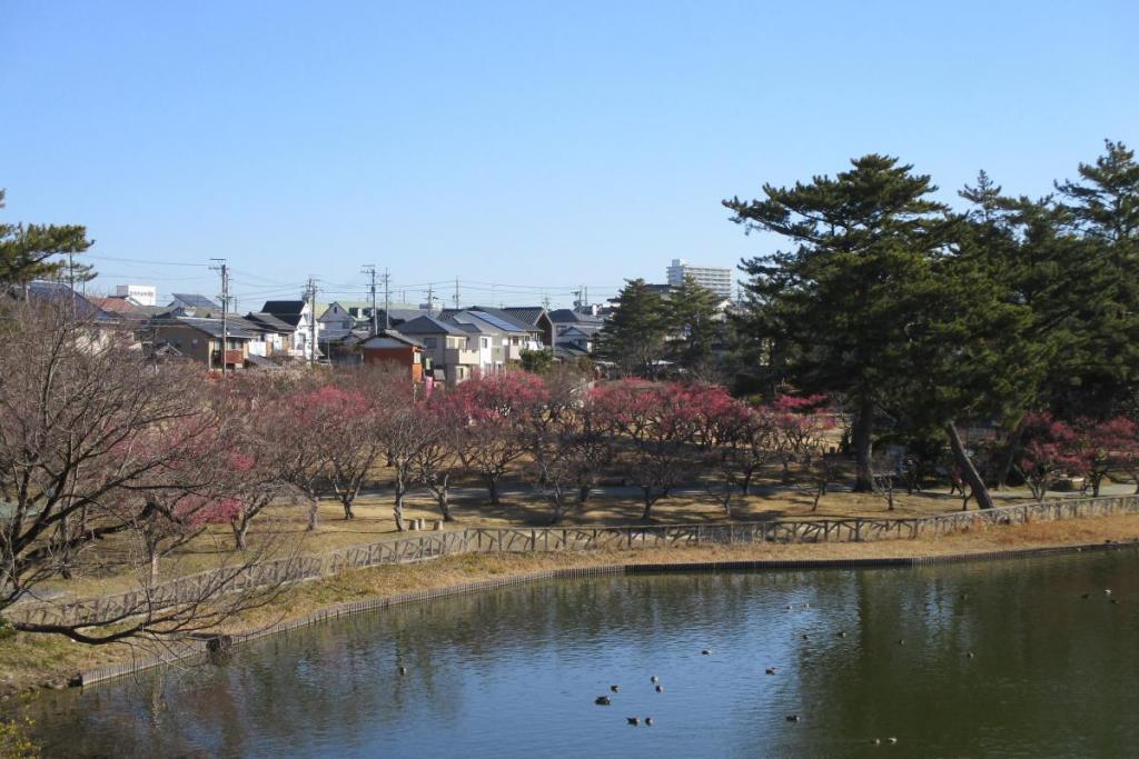 全景１