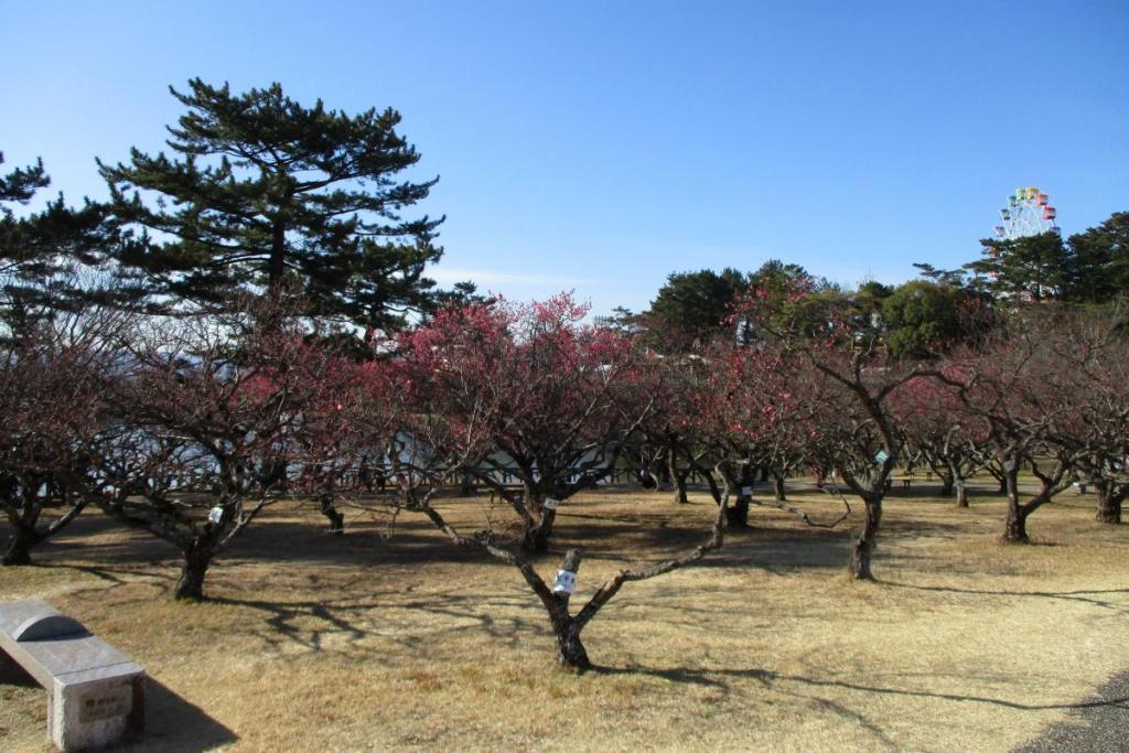 全景２