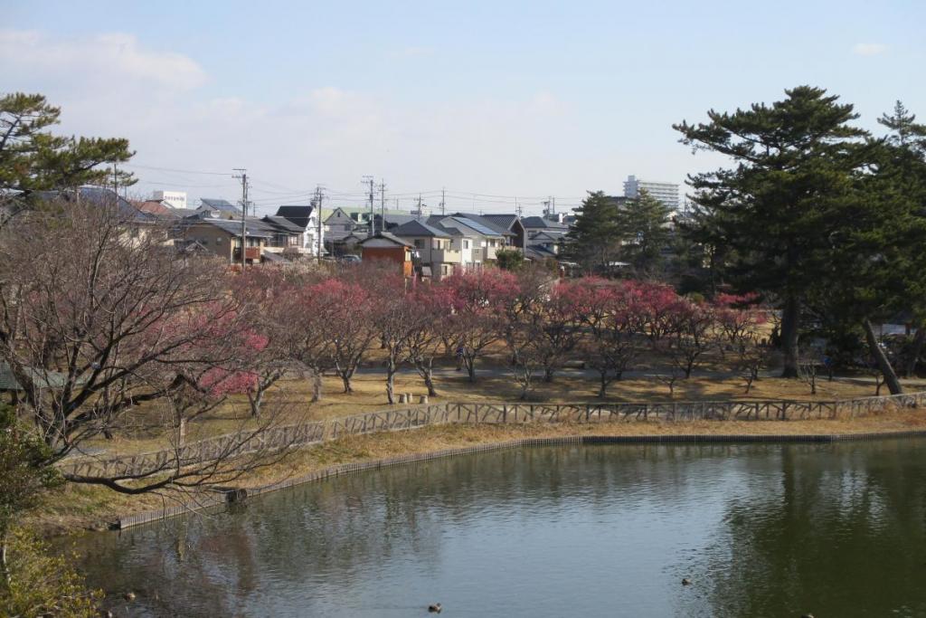 全景１