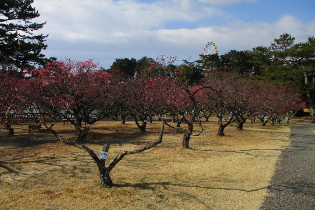 全景２