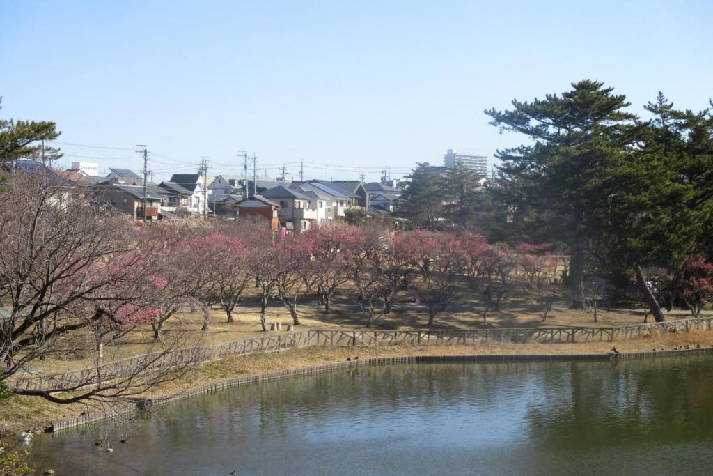 全景１