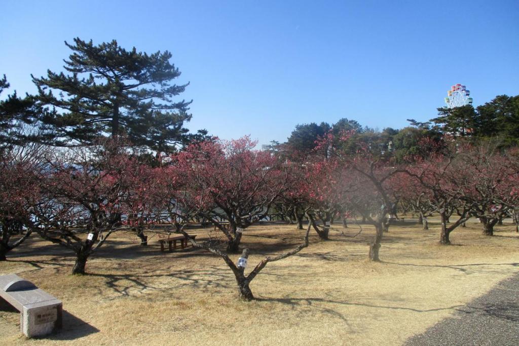 全景２
