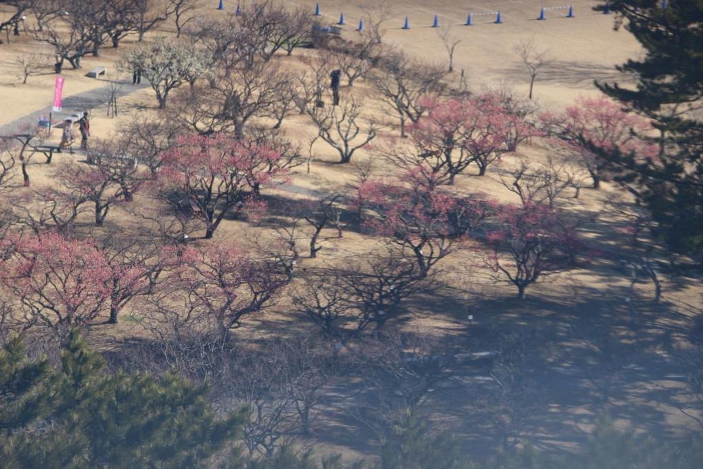 全景３