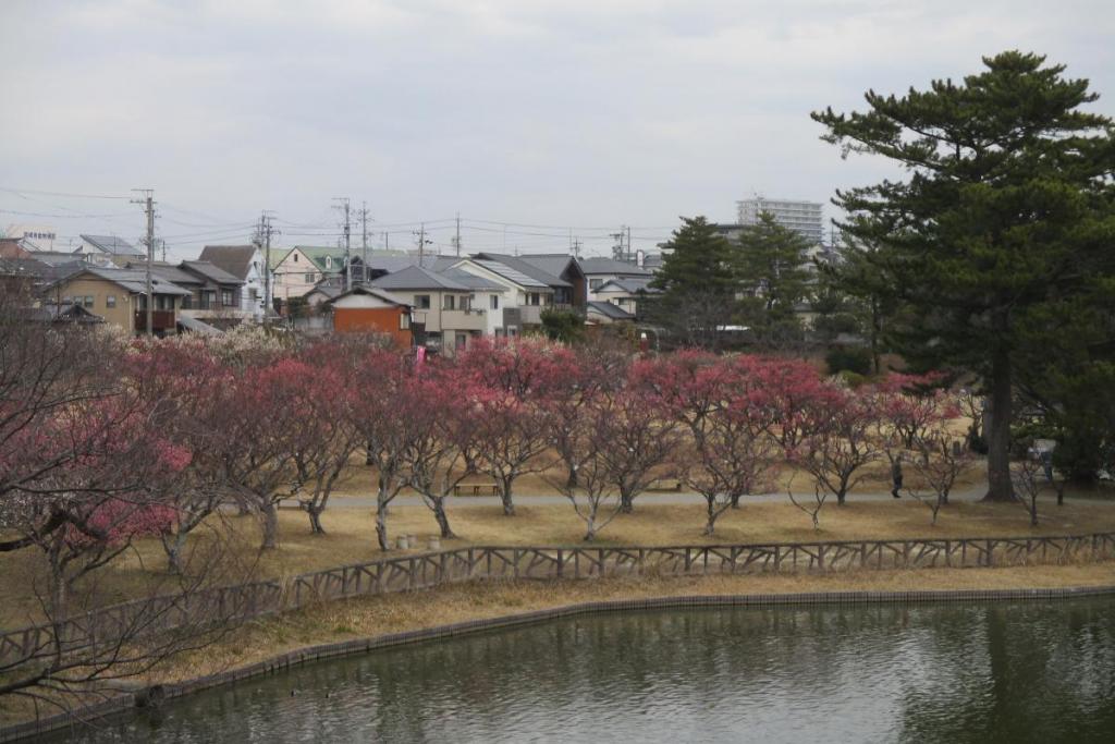 全景１
