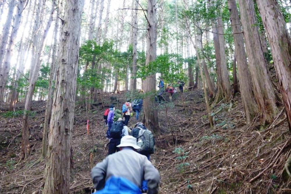 最初は上りが続きます。元気よく上っていきましょう！