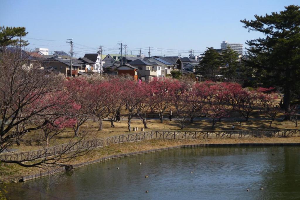 全景1