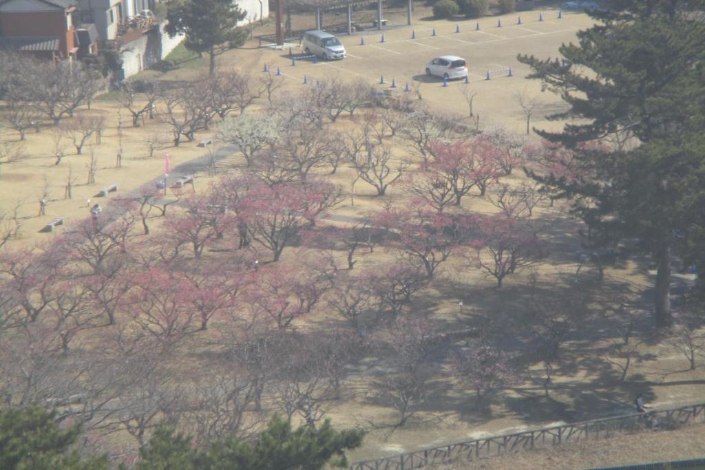 全景3（観覧車から）