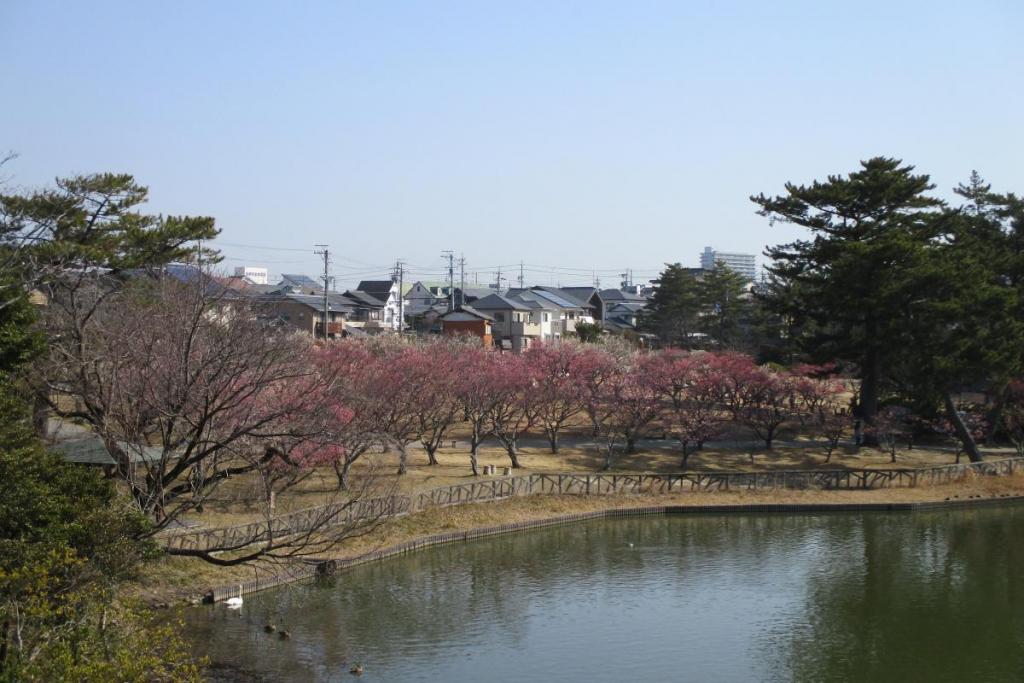 全景1