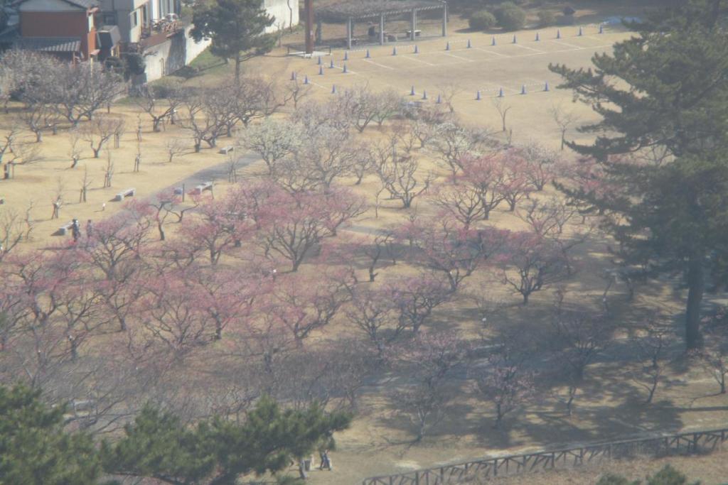 全景3　観覧車から