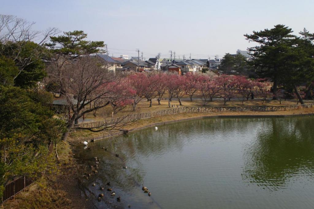 全景1