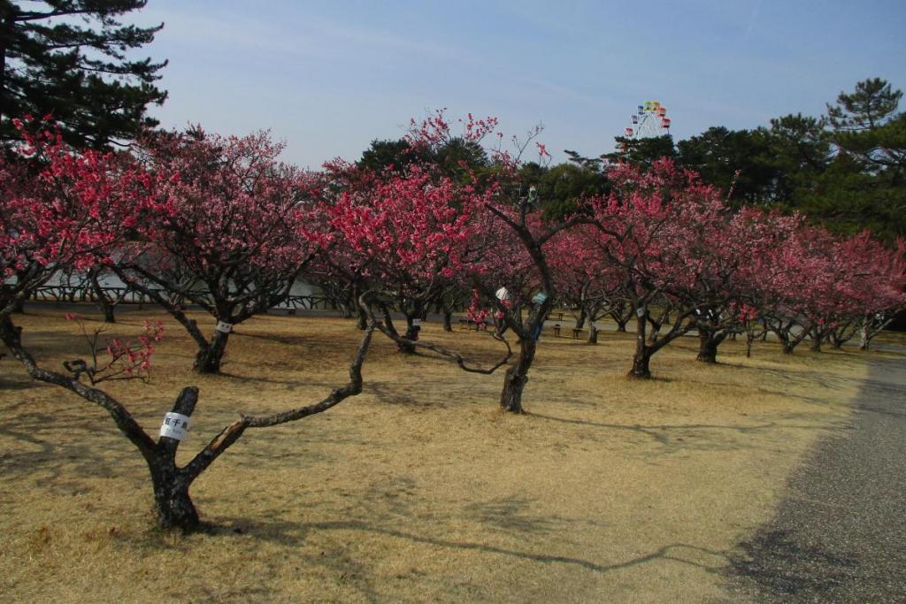 全景2