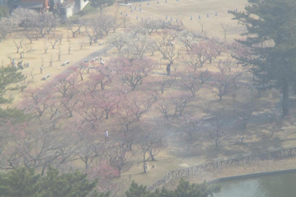 全景3　観覧車から