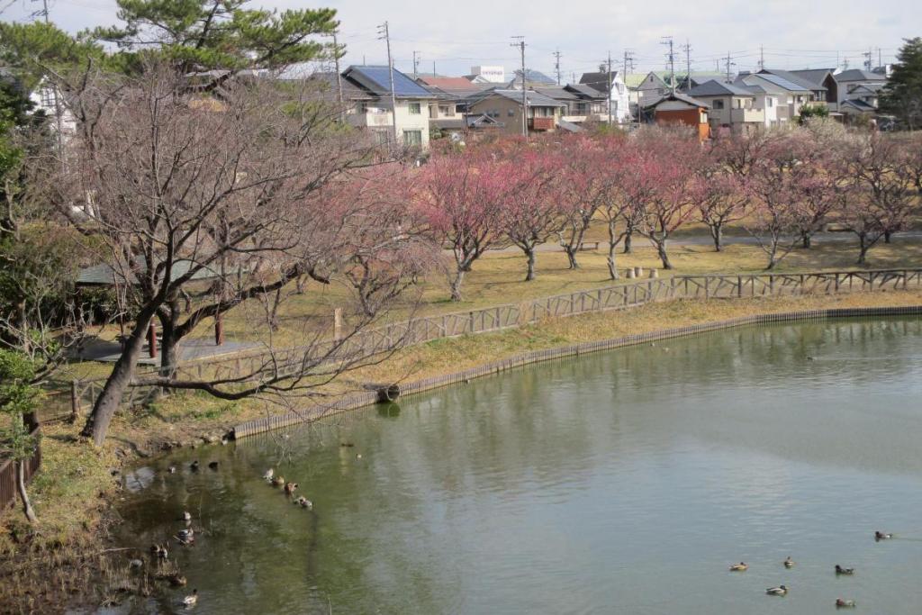 全景1