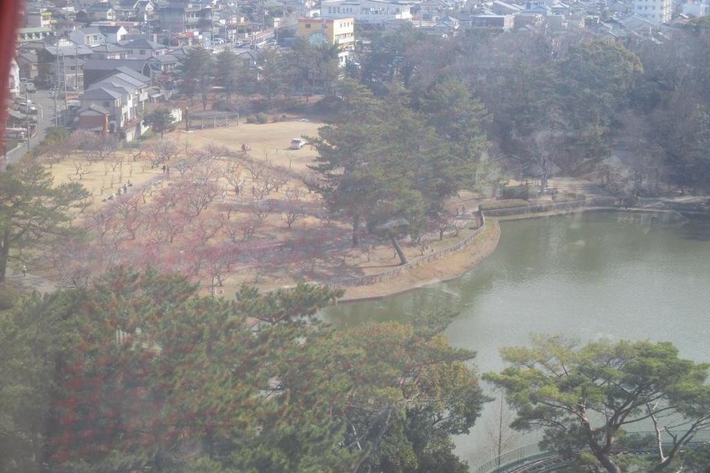 全景3　観覧車から