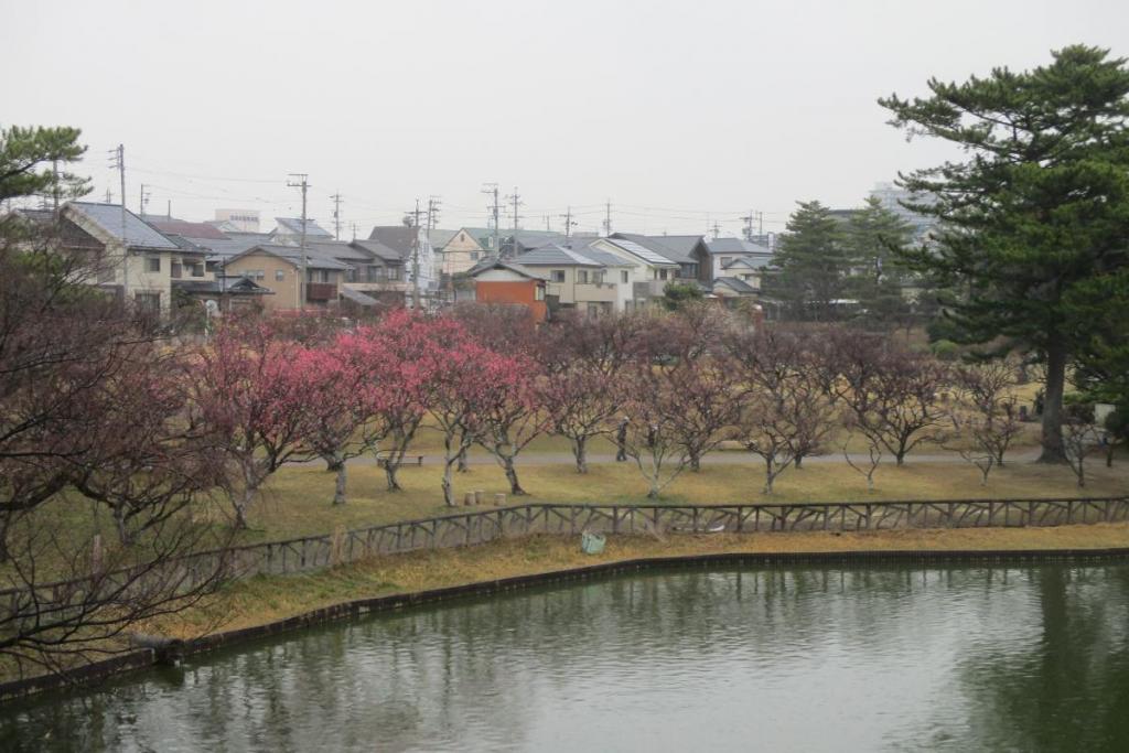全景1