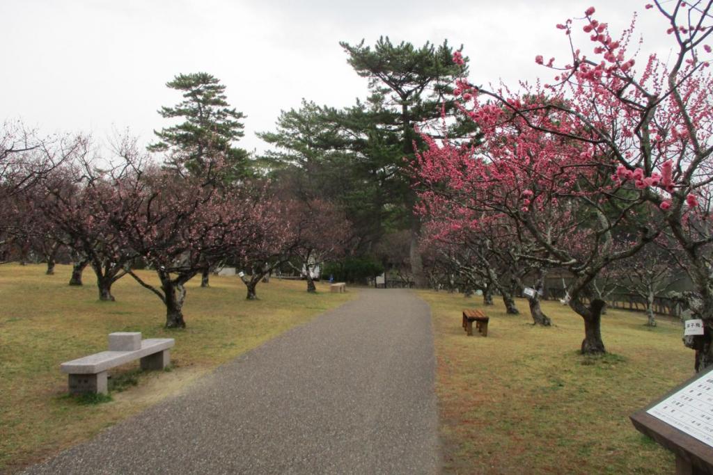 全景2