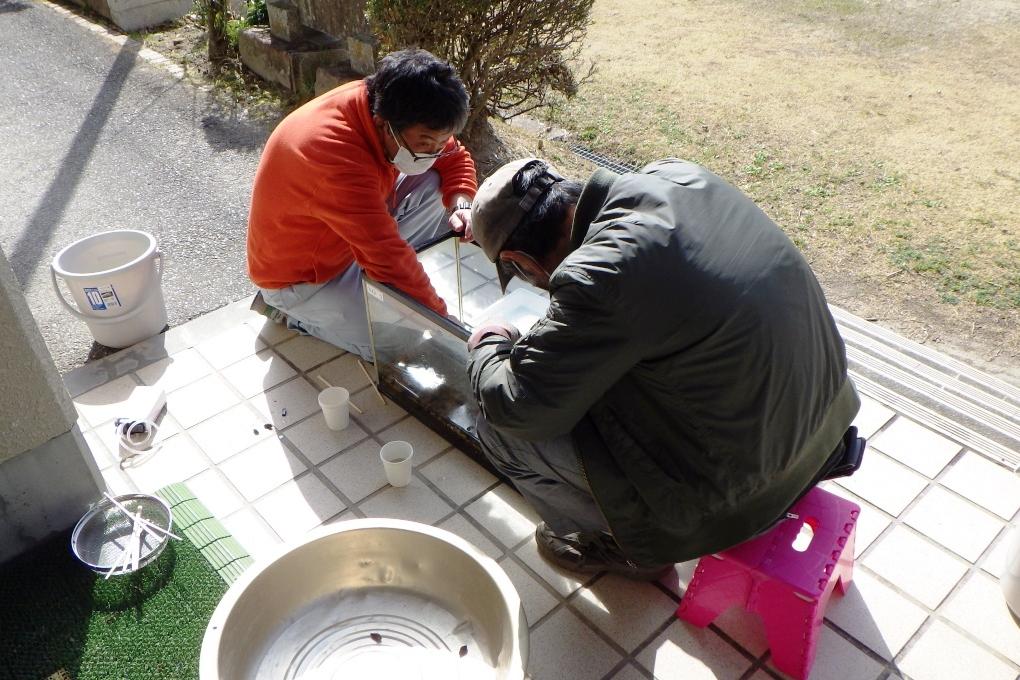 何匹の幼虫がみつかるかな？