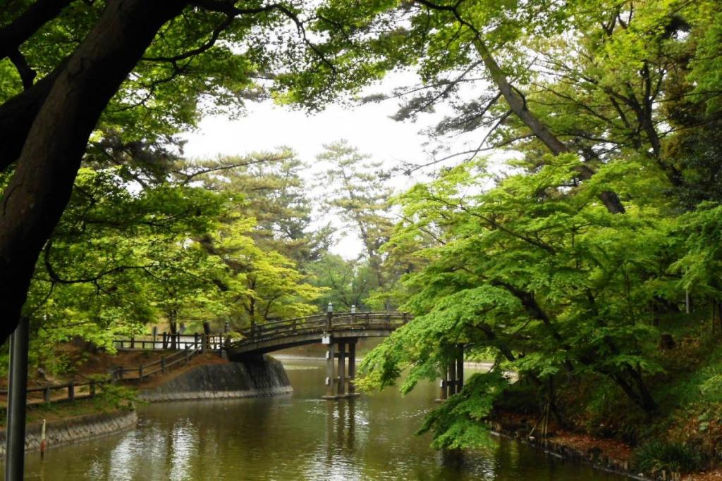 緑にとっても恵みの雨です。