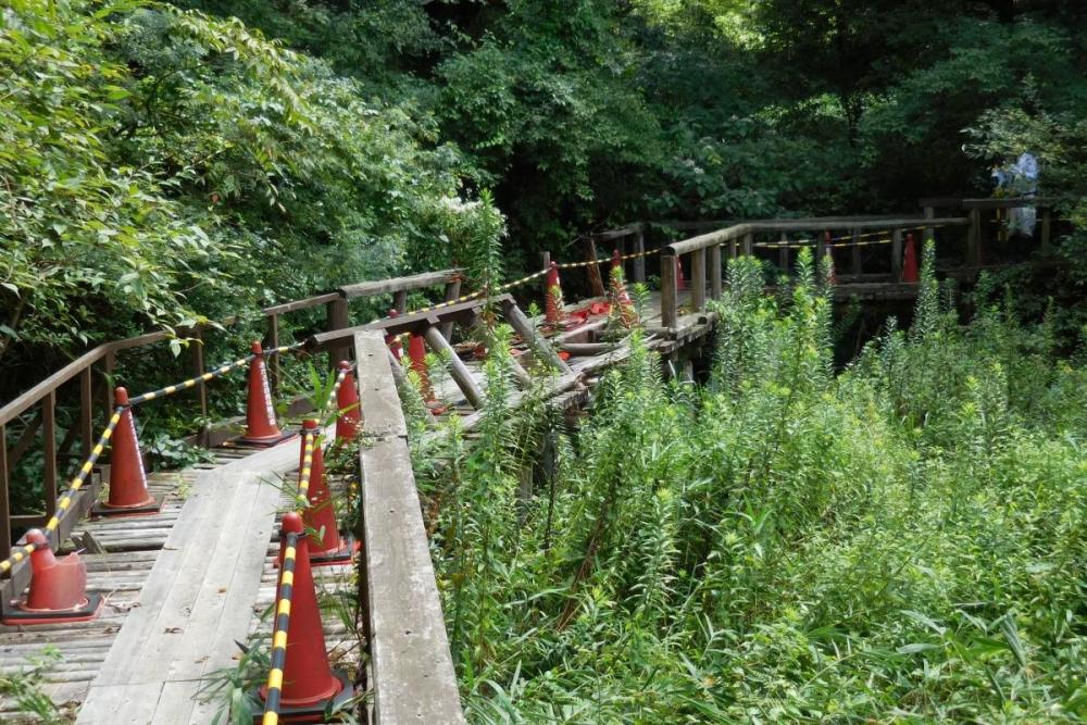 渡るのが怖いくらいの状態でしたが…