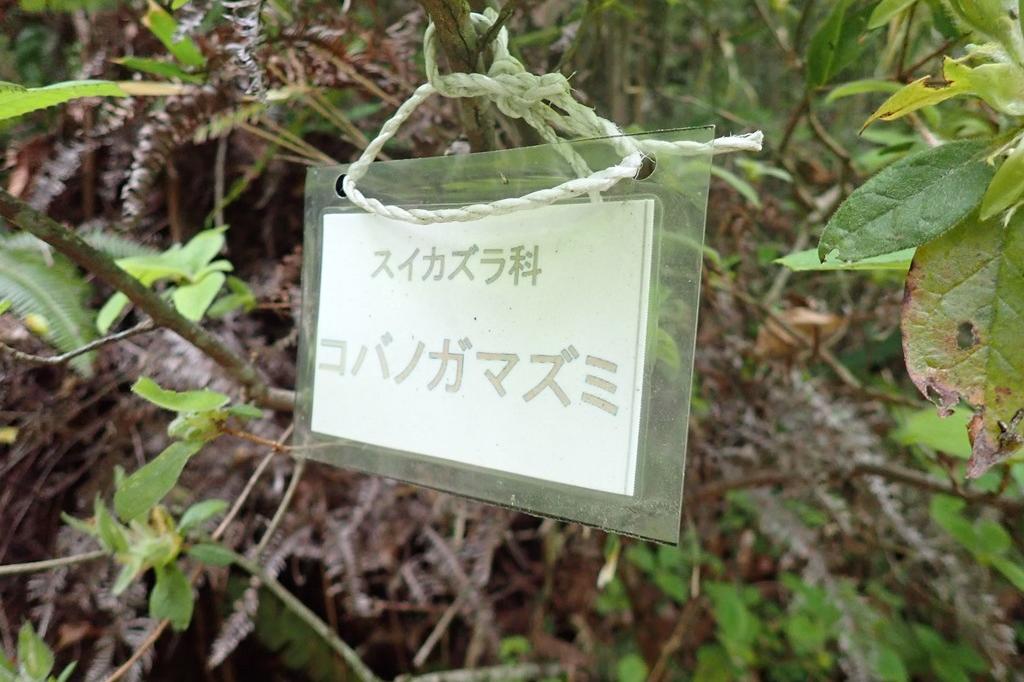 保護の会の方々が作成した看板