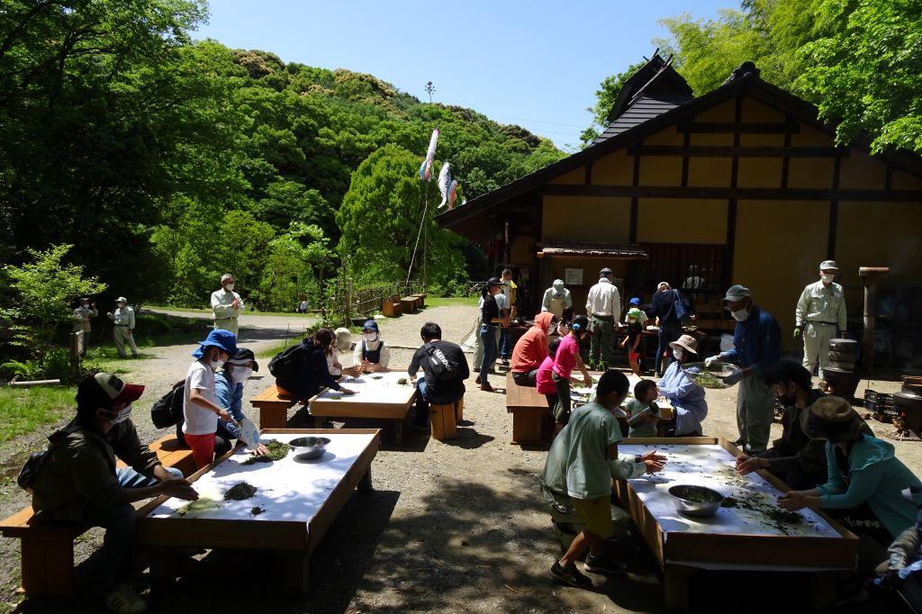 全体風景です。