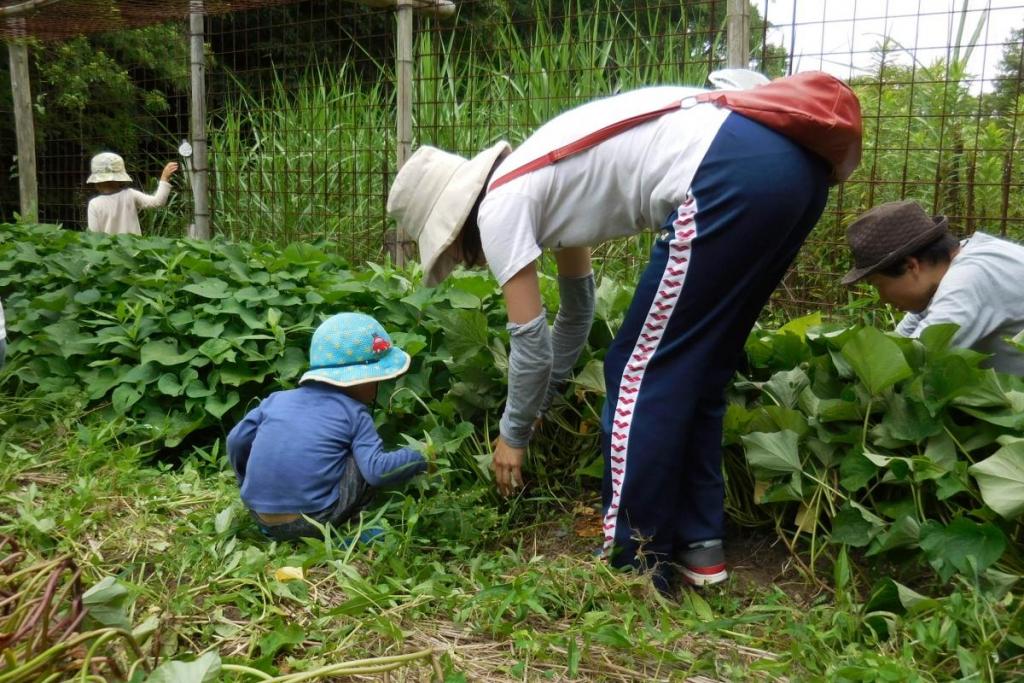 お母さんも頑張ってます