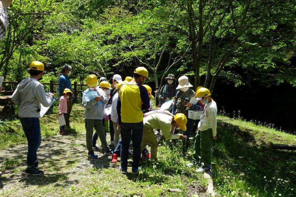 河江先生が何か見つけてみんなが集まってきました。