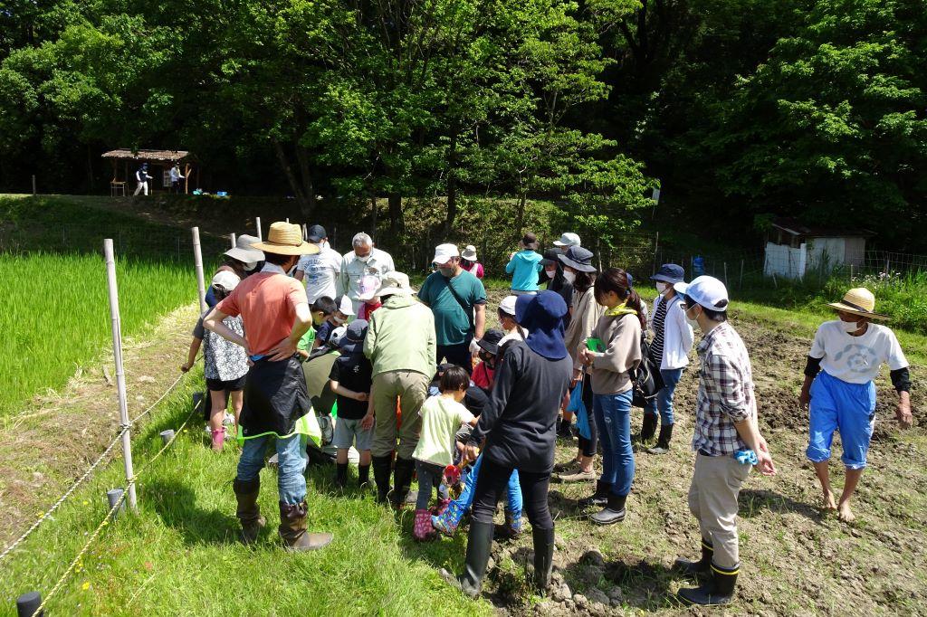 臨時の生き物観察会！残念ながらこちらからでは水槽が見えません。