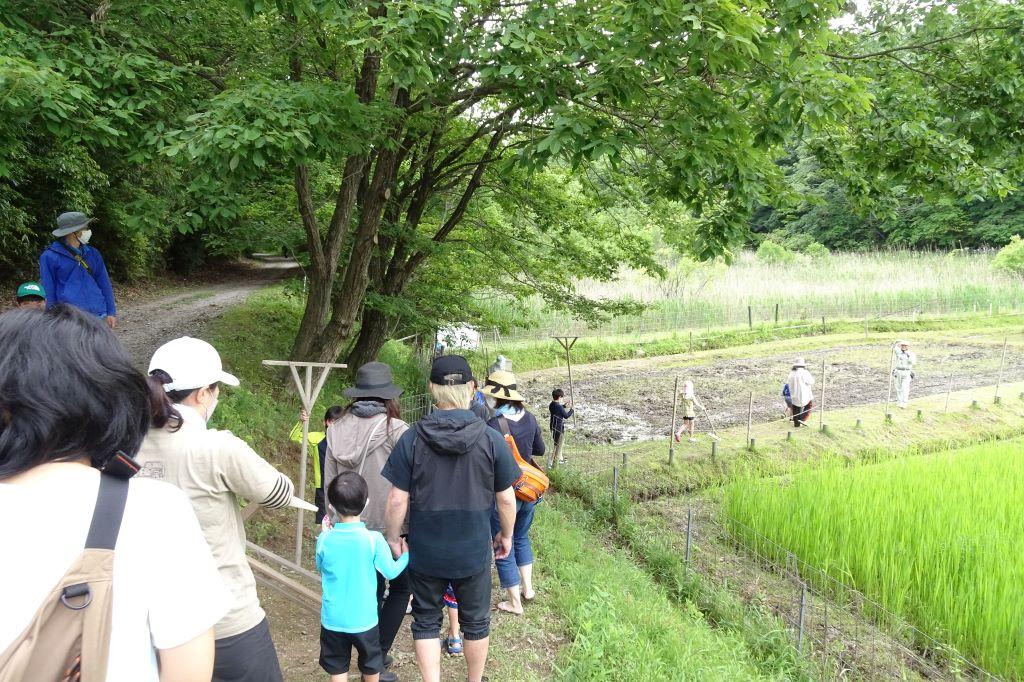 さあ、森の田んぼへGO！