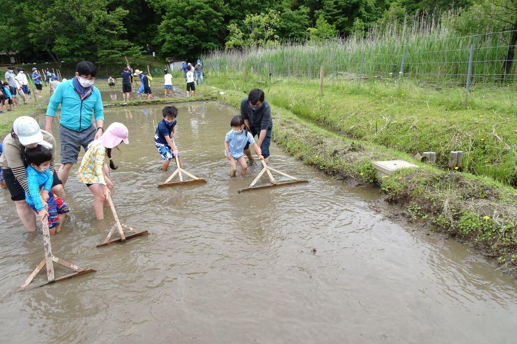 平らにするのがたいへんです。