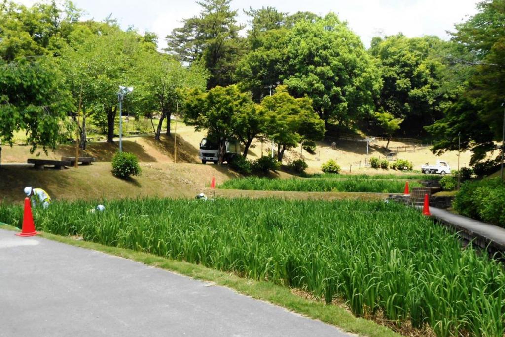そして作業は続くよどこまでも