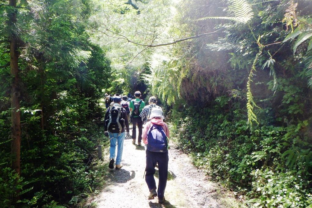 本格な山道のスタートです！