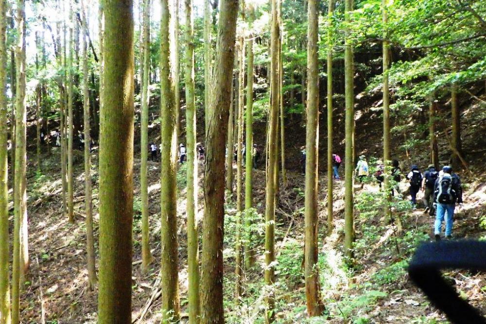 順調にコースを進んでいきます！