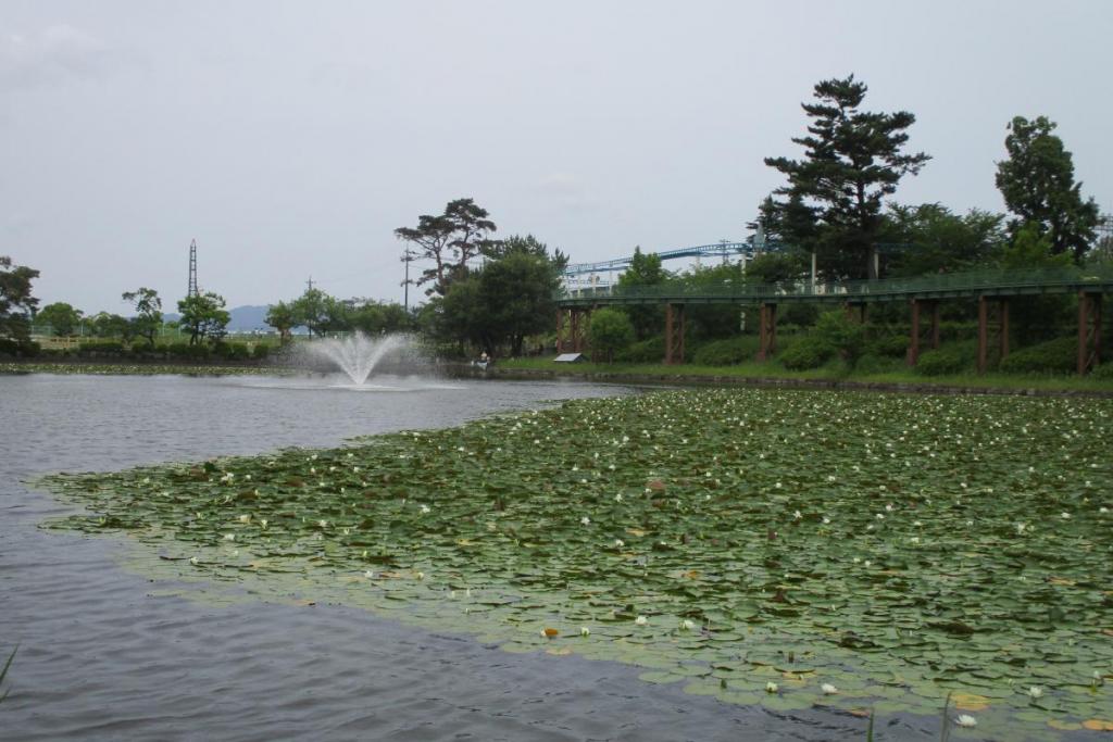 全景①