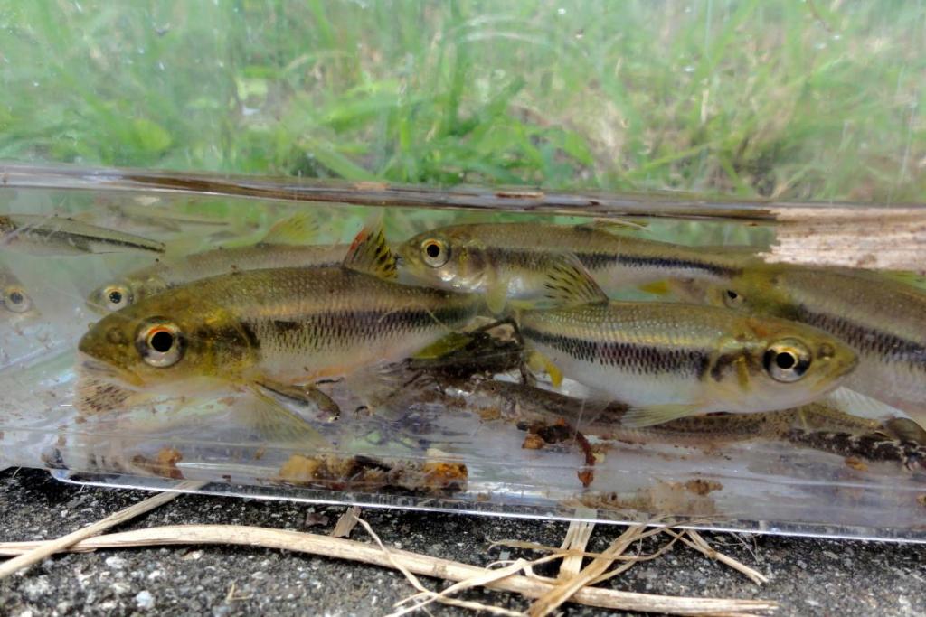 どんな生き物がいるかな？