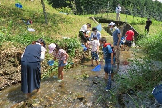 川に入ってヤゴを探してみよう！