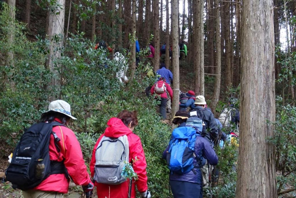 気持ちの良い汗がかけそうです